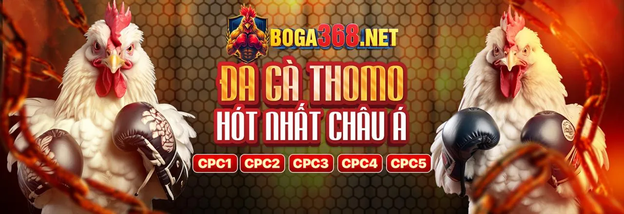Đá Gà Trực Tuyến VZ88