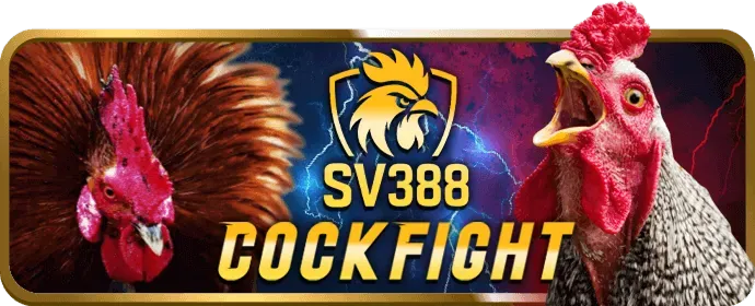 Thưởng Chào Mừng vz88